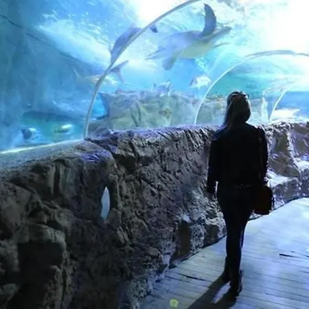 Penthouse Lumineux Avec Piscine