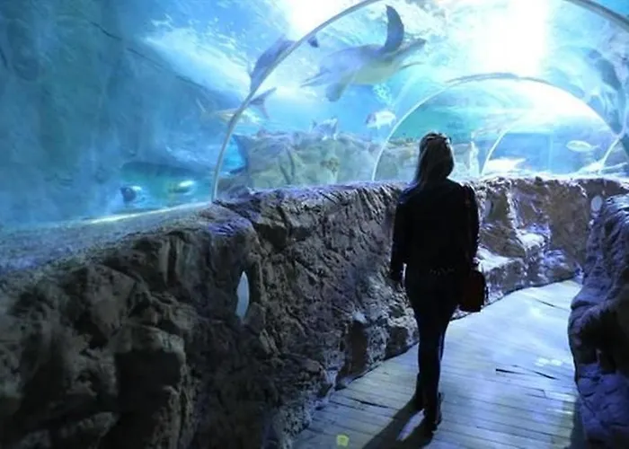 Penthouse Lumineux Avec Piscine
