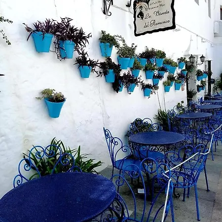 Lejlighed Penthouse Lumineux Avec Piscine Torremolinos